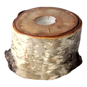 Vintage Birch Log Tea Candle Holder