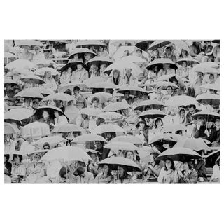 'Wimbledon Crowd' Unframed Archival Pigment Print For Sale