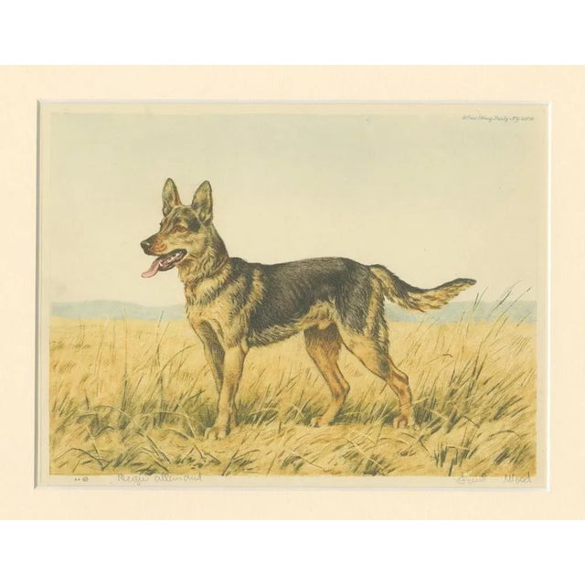 Paul Wood, German Shepherd in a Scenic Meadow, 1930s, Hand-Colored Aquatint For Sale - Image 6 of 7