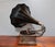 Wood 20th Century Horn Gramophone For Sale - Image 7 of 14