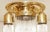 Art Nouveau Glass Ceiling Lamp, 1890s For Sale - Image 6 of 7