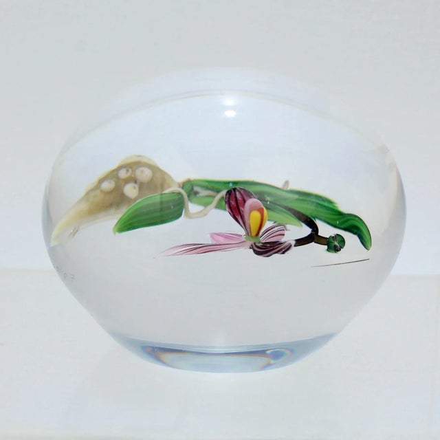 Chris Buzzini Artist-Proof Orchid Flower and Roots Art Glass Paperweight For Sale - Image 10 of 13