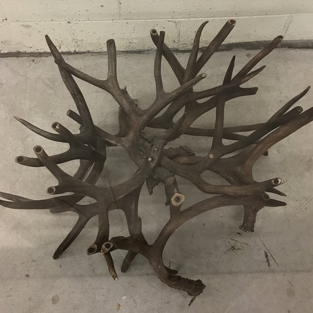 Antler Horn Glass Coffee Table Chairish
