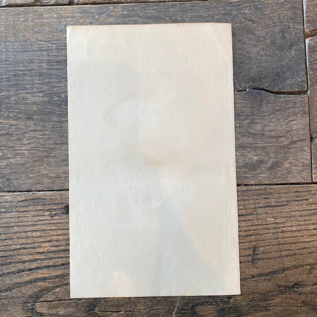 French Antique 18th Century "Lama" Animal Engraving Hand Colored Signed Artwork For Sale - Image 9 of 9