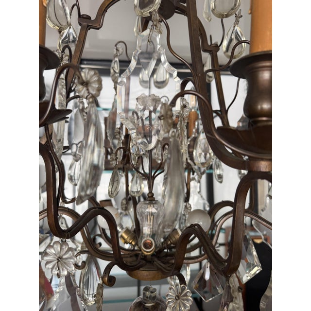 Louis XV Crystal 12-Light Cage Chandelier from Maison Baguès For Sale - Image 4 of 14