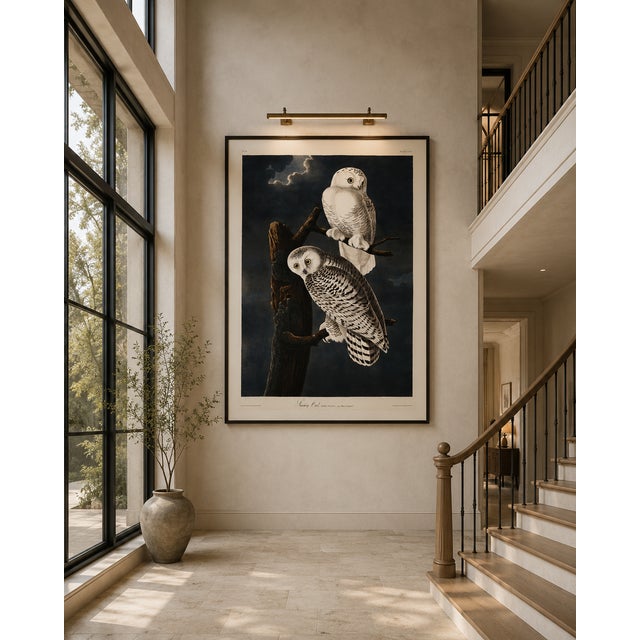 Snowy Owl, 1827 – John James Audubon Vintage Bird Art Print, 32" X 48" For Sale - Image 9 of 10