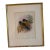 Early 20th Century John Gould Lithograph For Sale