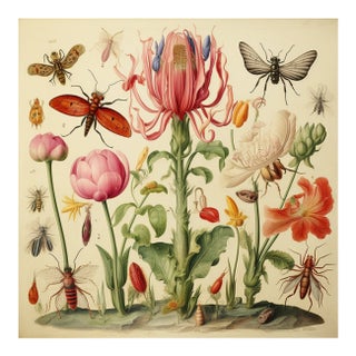 Insects and Flowers – Natural History Fine Art Print For Sale