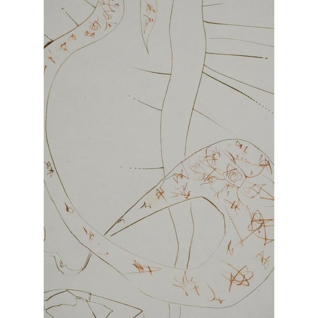 Salvador Dali, Tristan the Madman, 1970, Engraving For Sale - Image 4 of 8