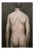 Nude, 2006, Oil on Canvas For Sale