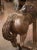 Late 19th Century French Carved Wood Silvered Carousel Horse Sculpture For Sale - Image 10 of 12