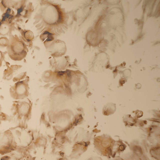 Jamie Young Jamie Young Versailles Antiqued Glass Rectangle Wall Mirror For Sale - Image 4 of 6