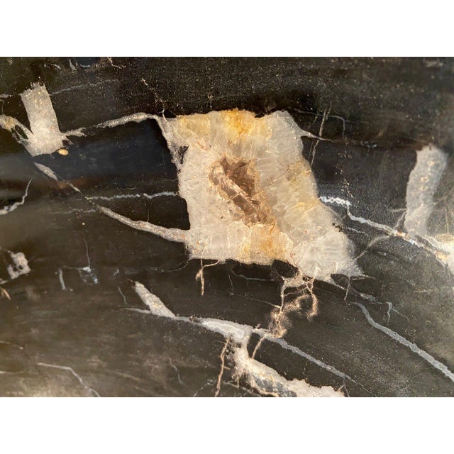 2010s Andrianna Shamaris Impressive Super High Quality Petrified Wood Coffee Table For Sale - Image 5 of 18