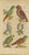 Original antique natural-history plate, Tab. XXIII, depicting six vividly colored parrots with Latin Psittacus labels. A...
