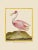 Contemporary Pink Martinet Shore Bird Giclee Reproductions Prints - Set of 4 For Sale - Image 4 of 9