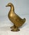 Figurative Antique 1900's Ac Williams Hand Painted Cast Iron Gold Duck Goose Still Bank For Sale - Image 3 of 10