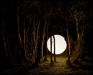 Caroline Irby and Tom Cotton, Untitled 1 (United Kingdom), 2012, Digital C-Type Print