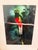 Photography Michael Fogden Signed “Resplendent Quetzal” Costa Rica Wildlife Photograph, 11” × 14” Matted For Sale - Image 7 of 11
