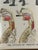 Striking and rare antique educational wall chart titled “The Effects of Tobacco on the Body,” published by W. & A.K....