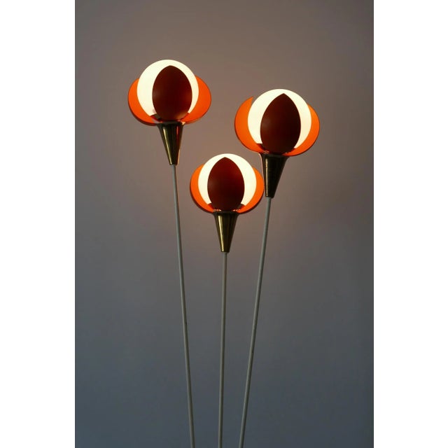 Mid-Century French Buds Floor Lamp, 1950s For Sale - Image 10 of 18