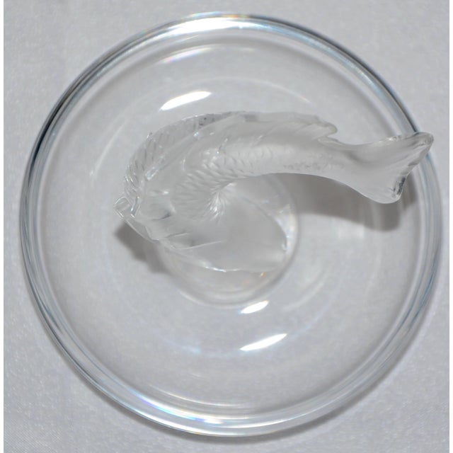 Lalique Clear and Satin Crystal Glass Koi Fish Ring Dish For Sale In Nashville - Image 6 of 9