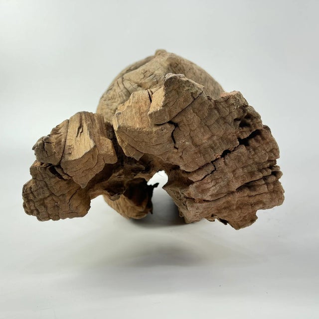 Wood Early 20th Century Bongo Memorial Head For Sale - Image 7 of 7