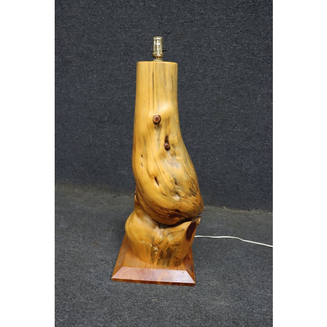 Brown Mid 20th Century Mid Century Modern Organic Driftwood Table Lamp For Sale - Image 8 of 8