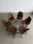 1940s 1940s Folding Chairs by American Seating Company For Sale - Image 5 of 12