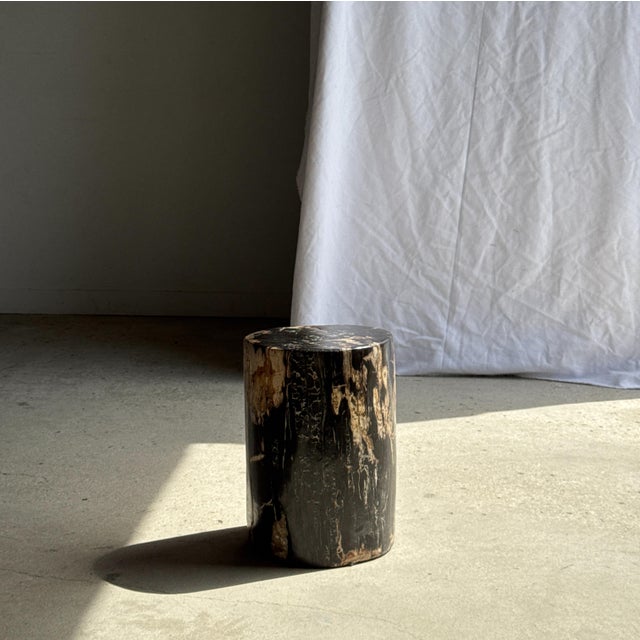 Brutalist Side Table in Black Petrified Wood with Beige Sides, 1980s For Sale - Image 3 of 18