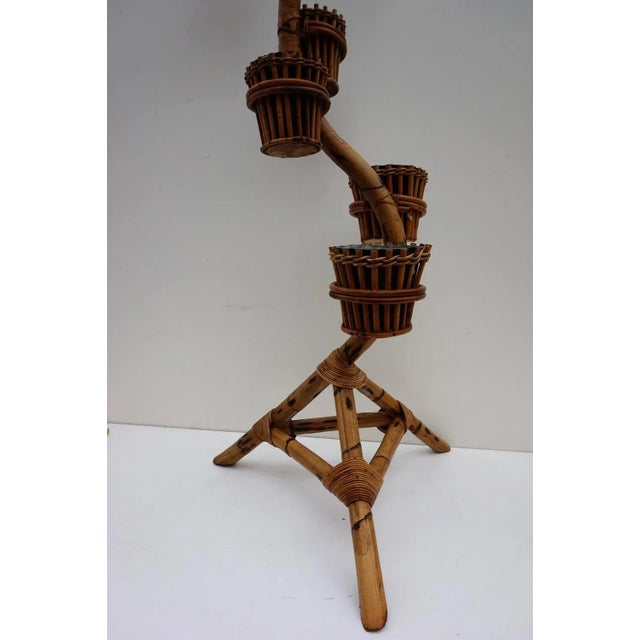 Bamboo Plant Stand from Rohe Noordwolde, 1960s For Sale - Image 4 of 12