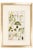 An elegant and highly decorative pair of original hand-colored botanical engravings from Dr. David Nathaniel Friedrich...
