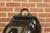 English Victorian Period 1880s Black Coal Box with Hand-Painted Dog Motif For Sale - Image 4 of 12