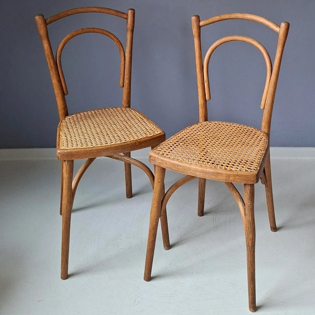 No. 114 Chairs from Thonet, 1900s, Set of 2 For Sale - Image 14 of 17
