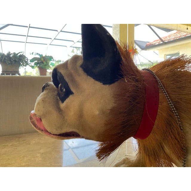 Large 21” French Paper Mache Growler Bulldog- Very Good Condition- For Sale - Image 10 of 10