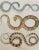 19th Century English Hand Colored Snake Engraving C.1820 For Sale - Image 4 of 5