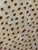 Wood Donghia Hard‑Shell Barrel Chair – Leather Seat & Patterned Textile Interior For Sale - Image 7 of 9