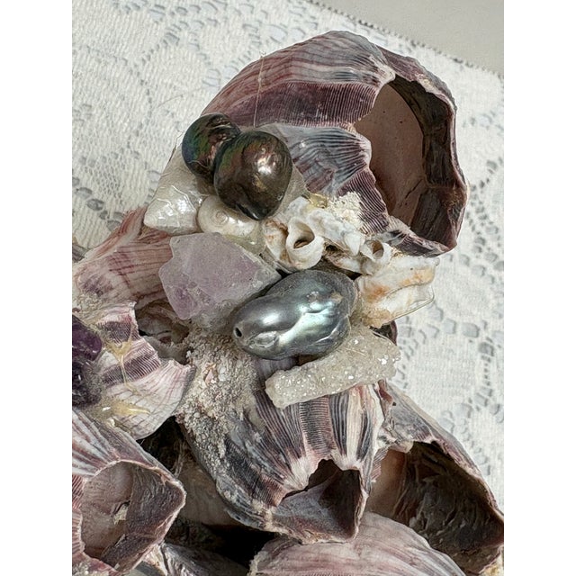 Sculptural Seaside Barnacle Cluster Decor Accent For Sale - Image 10 of 11