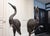 Unknown, Cranes, Sweden, 1970s, Patinated Bronze, Set of 2 For Sale - Image 12 of 15