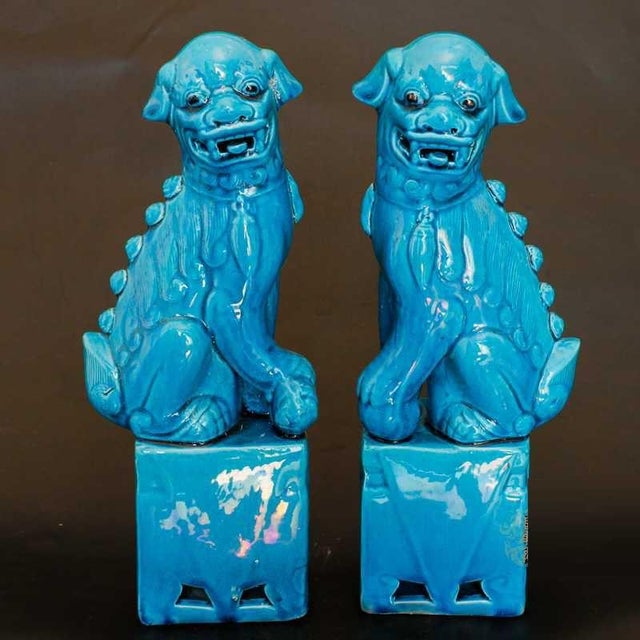 This striking pair of vintage peacock blue glazed porcelain guardian lions brings a bold, elegant presence to any...