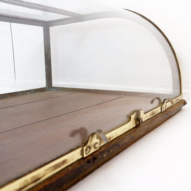 1930s Antique Curved Glass Display Showcase, 1930s For Sale - Image 5 of 16