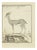 Pierre Francois Tardieu, Le Gazelle, Etching, 1771 For Sale