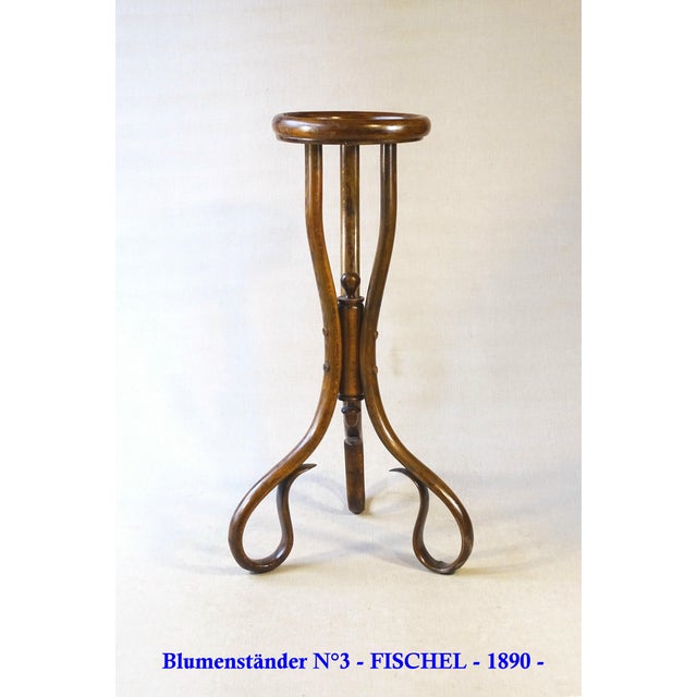 Art Nouveau Bentwood Flower Stand, 1890 For Sale - Image 14 of 14