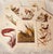 1950s Audubon Birds of America — Complete Portfolio of 50 Color Prints With Roger Tory Peterson Commentaries, Macmillan For Sale - Image 12 of 14