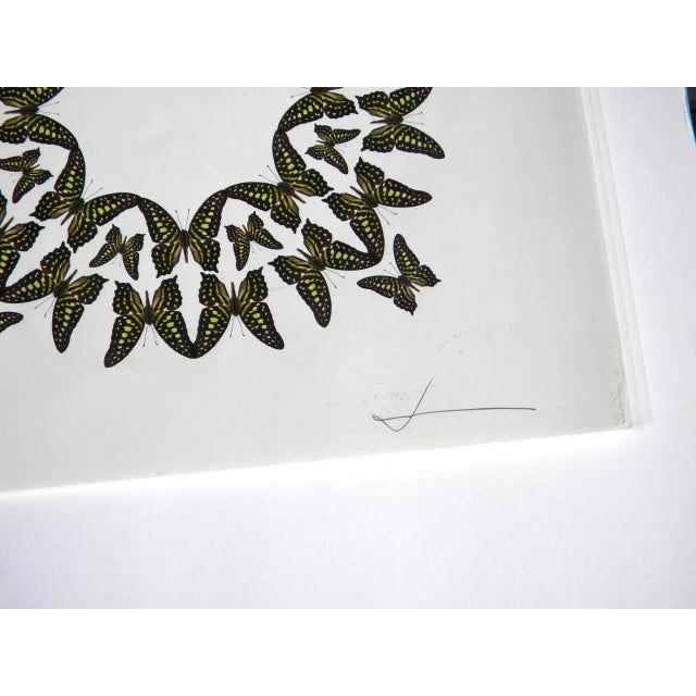 Green Jean Orlebeke Original Geometric Green Butterflies Print For Sale - Image 8 of 9
