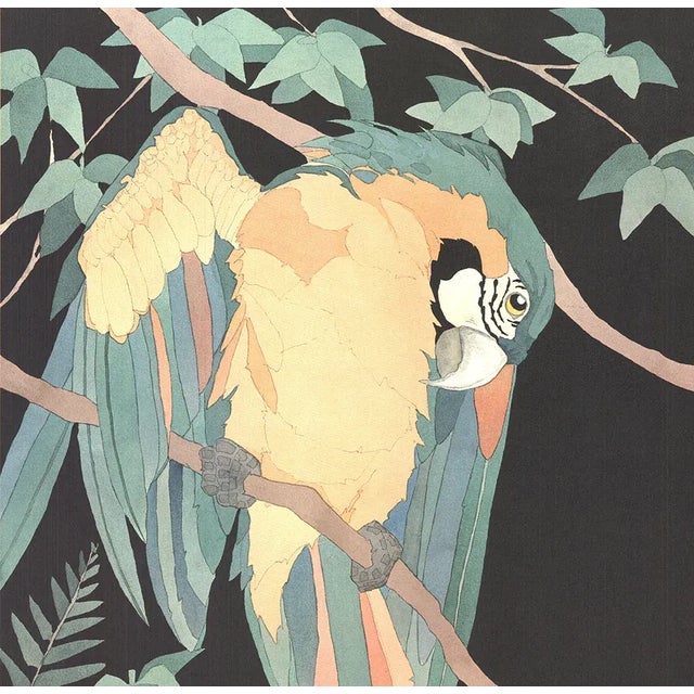 Modern 1989 Dan Goad 'Macaw' Offset Lithograph For Sale - Image 3 of 4