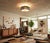 Moe Mid Century Modern Acrylic Tile Fiesta Series Ceiling Light, Flush Mount For Sale - Image 12 of 12