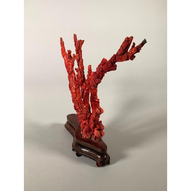 Shell Large Coral Sculpture, China, Early 20th Century For Sale - Image 7 of 12
