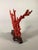 Shell Large Coral Sculpture, China, Early 20th Century For Sale - Image 7 of 12