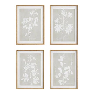 Foliage Study in Wood Frames, Set Of 4 For Sale