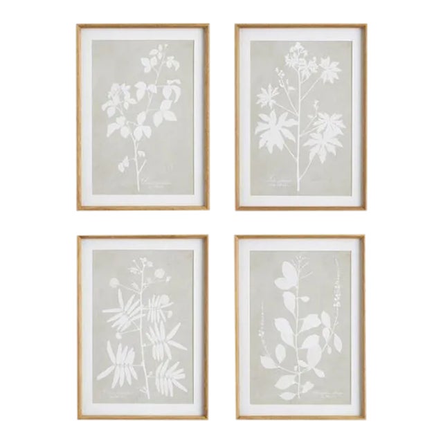 Foliage Study in Wood Frames, Set Of 4 For Sale